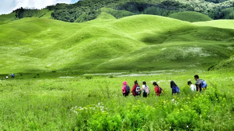 Group trekking through Dzukou Valley meadows