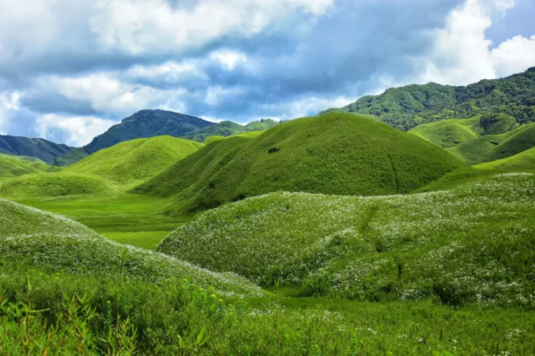 Lush green hills of Dzukou Valley under a cloudy sky
