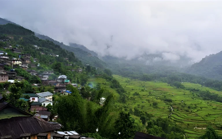 Misty view of Khonoma village with terraced fields and forested hills