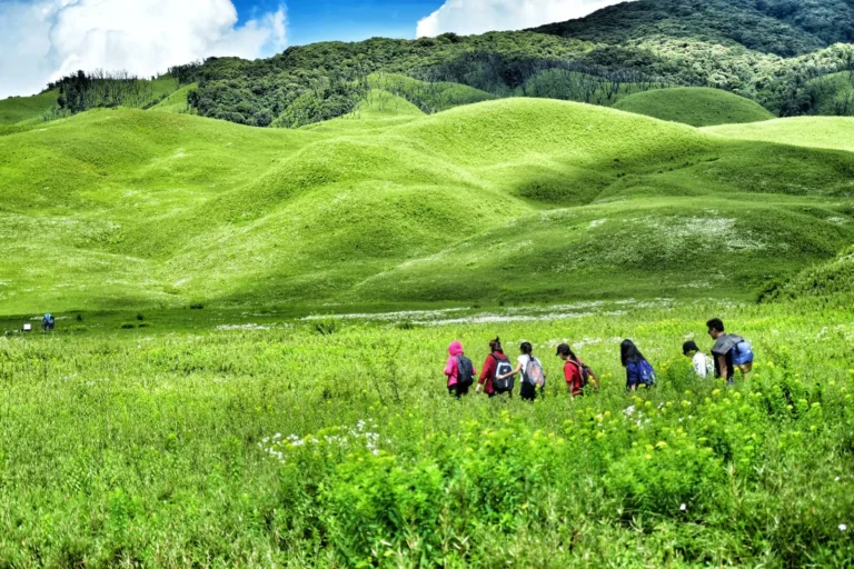 People walking through the green hills of Dzukou Valley